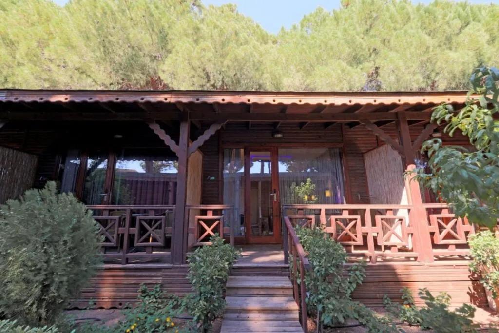 Flora Garden Beach Hotel - Adults Only 16 Plus - Couples Concept Kızılot Esterno foto